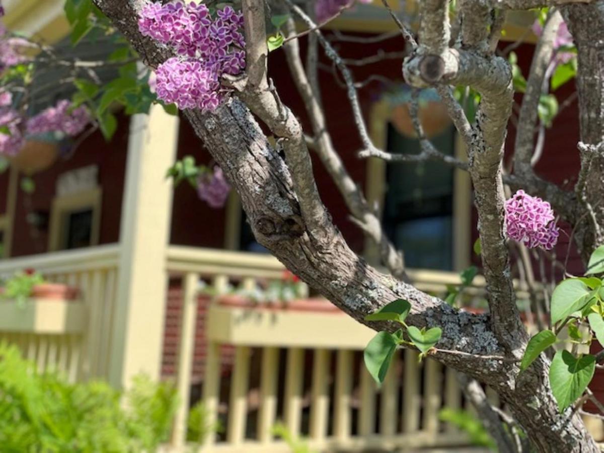 בר הרבור Central House Inn מראה חיצוני תמונה